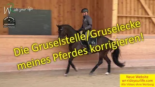 F160 Die Gruselstelle /-ecke im Viereck, Pferde mit Vertrauen Reiten lernen,  Mere-Exposure-Effekt