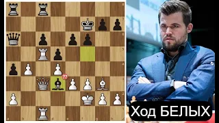 Бей своих, чтоб чужие боялись! 👊  М.Карлсен - А.Тари 🏆 Norway Chess Blitz 2022