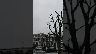 Sudden Snow