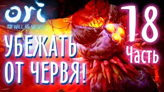 КАК ПРОЙТИ ЧЕРВЯ (РАЗВАЛИНЫ ВЕТРОВ)+ ФИНАЛ КВЕСТА ТЫ МНЕ, Я ТЕБЕ ✿ Ori and the Will of the Wisps #18