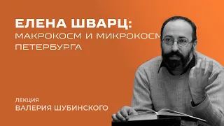 Елена Шварц: лекция Валерия Шубинского