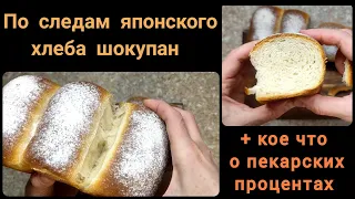 Ищу рецепт хлеба шокупан(сёкупан), переделываю его на заквасочный. Плюс урок про пекарские проценты.