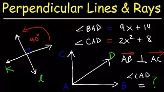 Perpendicular Lines, Slope, Rays, and Segments | Geometry