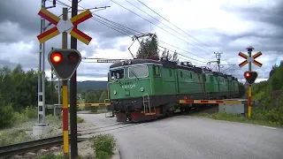 Spoorwegovergang Tallåsen (S) // Railroad crossing // Järnvägsövergång