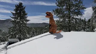 Skiing Off Roof: T-Rex Edition - Evergreen, CO