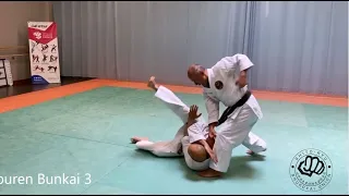 PAPUREN Bunkai