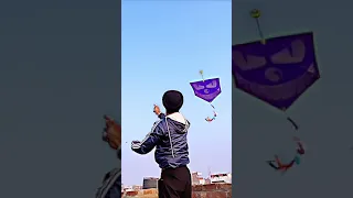 😱 6 FEET *BRAZILIAN PIPA KITE*😈🔥.. #ytshorts #pipa #kite