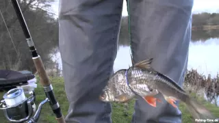 Angeltipp "Gummiband" Köderfisch-Angeln auf Hecht mit der Pose