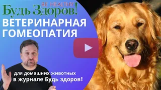 Ветеринарная гомеопатия  для домашних животных