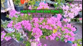 Gan dong tian gan dong ti - female - karaoke no vokal ( Huang Jia Jia ) cover to lyrics pinyin