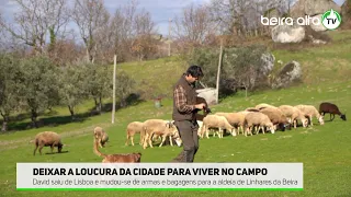 Deixar a loucura da cidade para viver no campo