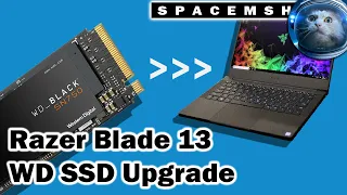 Razer Blade Stealth 13 SSD Upgrade and OS Transfer Tutorial