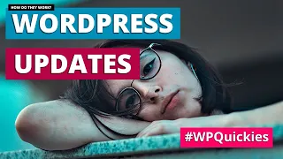 WordPress Updates: How Do They Work? - WPQuickies