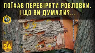 Поїхав перевіряти роєловки. І що ви думали?