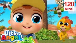 Baby John's First Time Camping 🏕️ Bingo and Baby John | Little Angel Nursery Rhymes and Kids Songs