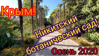 Никитский ботанический сад. Крым осень 2020. Очередь как в мавзолей.