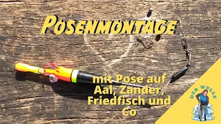 Einfache Posenmontage für Aal, Zander, Barsch und Friedfisch