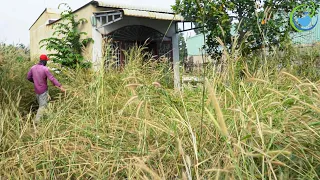 SHOCKING, Overgrown grass, can't SEE the House. Helping the old man clean up the abandoned house