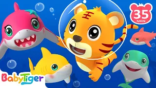 Baby Shark | Doo Doo Doo Dance🐟️ + 🎶More Animal Songs & Nursery Rhymes | #babyshark Song | BabyTiger