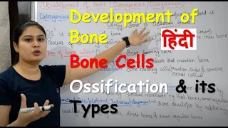 Development of Bone in Hindi | Bone Cells | Ossification & its Types