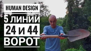 Дизайн Человека 24 и 44 ворота. 5 линии Даниил Трофимов. Human Design