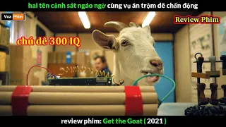 chú Dê IQ 300 gánh Còng Lưng 2 tên Ngốc - review phim Vụ Án Bắt Dê