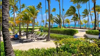 DOMINICAN REPUBLIC / All-Inclusive Resort / Occidental Punta Cana / Buffet / Beach / Room 4K