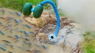 Build Fish Trapping System Make From Watermelon & Flexible Pipe Catch A lot of Fishes
