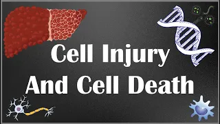 Cell Injury and Cell Death. Causes, mechanism and different types of cell injury - part I