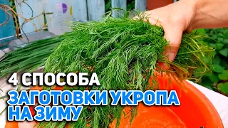 ЗИМОЙ УКРОП НЕ ПОКУПАЮ ЗАГОТОВКА ЗЕЛЕНИ НА ЗИМУ /ВКУСНАЯ ЗАПРАВКА В ЛЮБЫЕ БЛЮДА @obovsemsmarusya