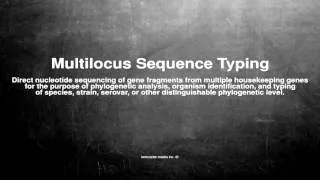 Medical vocabulary: What does Multilocus Sequence Typing mean