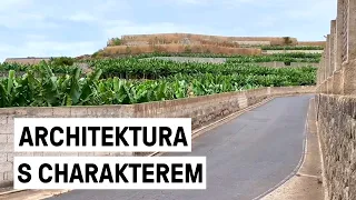Dechberoucí banánové plantáže na Tenerife