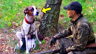 Hunter Finds Scared Mama Dog With Puppies Tied To a Tree. Looking Closer, He Starts Crying!