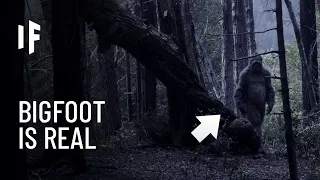 What If Bigfoot Actually Exists?