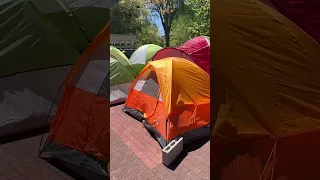 Pro-Palestinian protesters at University of Michigan remain peaceful