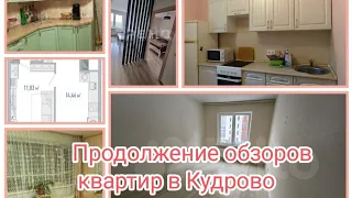 Выбираем квартиру в Кудрово, 2 серия просмотров.