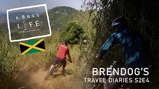A DOGS LIFE - S2 Ep4 Exploring the insane Island of Jamaica on two wheels!!