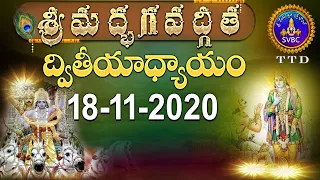 శ్రీమద్భగవద్గీత | SRIMADBHAGAVADGITA | TIRUMALA | 18-11-2020 | SVBC TTD