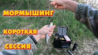 Мормышинг  Короткая сессия.