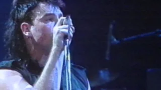 U2   October/New Year's Day Live 1984