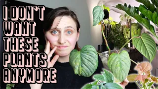 plants I'm getting rid of... and why 🙅🪴 Plant Purge