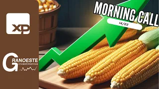 Morning Call 14/03 - O que está por trás da alta do milho na bolsa?