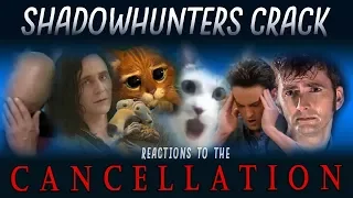 Shadowhunters Crack | CANCELLATION