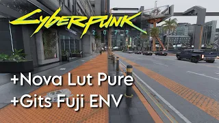 Nova Lut Pure + Fuji ENV basic - Cyberpunk 2077