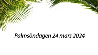 Palmsöndagen 24 mars 2024