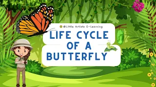 Life Cycle of a Butterfly/ Class 1 ,2 and 3. #aumsum #kids #science #education #whatif