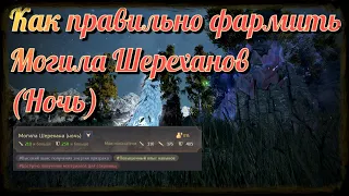 Black Desert / BD: Как фармить правильно Могила Шерехана (Ночь)