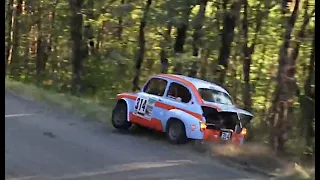 Best-Of Rallye 2021 - Crash⎜Show⎜ Action⎜Mistakes