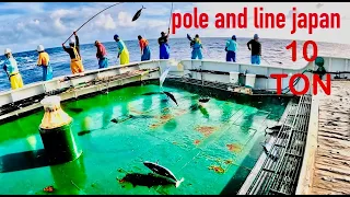 pole and line tuna fishing japan.!! ratusan ton ikan cakalang bergerombol di belakang kapal kami...