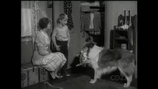 Lassie - Episode 254 - "The Search" - Season 7, Ep. 35 -  05/21/1961